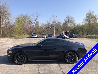 2021 Ford Mustang GT in Aurora, OH