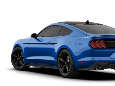 Find 2023 Ford Mustang EcoBoost Fastback for sale