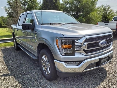 New 2023 Ford F150 XLT w/ XLT Chrome Appearance Package