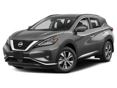 2023 Nissan Murano for Sale in Northwoods, Illinois