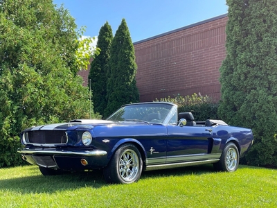 1966 Ford Mustang Recently Fully Restored V8 Convertible GT350 Trib