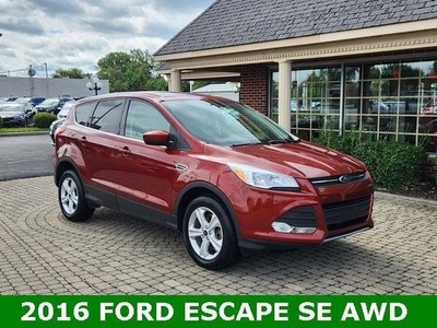 2016 Ford Escape for Sale in Chicago, Illinois