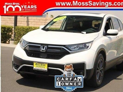 2020 Honda CR-V for Sale in Chicago, Illinois