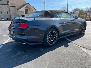 2023 Ford Mustang GT Premium in Guttenberg, IA