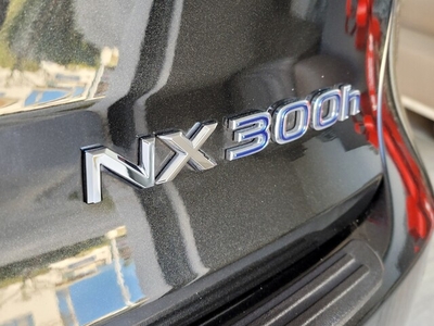 2019 Lexus NX 300H in Woodland Hills, CA