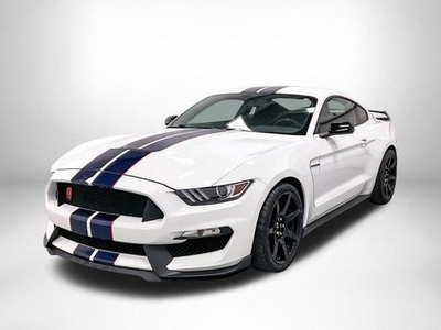 2019 Ford Shelby GT350 for Sale in Co Bluffs, Iowa