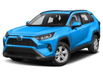 2019 Toyota RAV4 XLE SUV