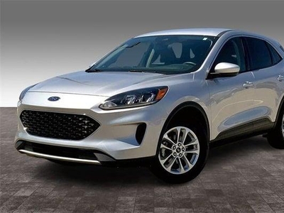 2020 Ford Escape for Sale in Northwoods, Illinois