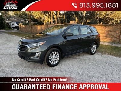 2019 Chevrolet Equinox LS for sale in Riverview, FL