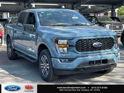 New 2023 Ford F150 XL w/ STX Appearance Package