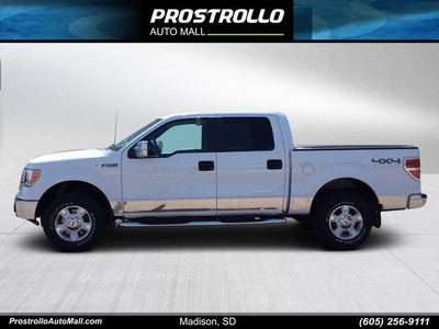 2010 Ford F-150 for Sale in Northwoods, Illinois