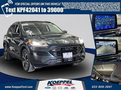2022 Ford Escape for Sale in Gilberts, Illinois