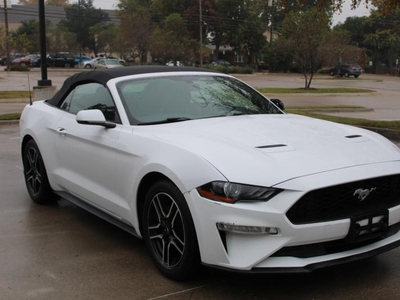 2019 Ford Mustang Eco Boost Convertible for sale in Arlington, Texas, Texas