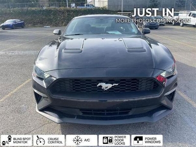 2019 Ford Mustang for Sale in Northwoods, Illinois