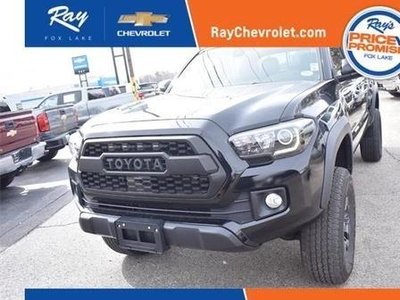 2019 Toyota Tacoma for Sale in Chicago, Illinois