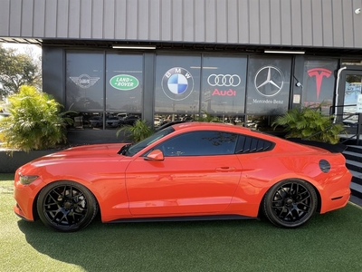 2015 Ford Mustang in Tampa, FL