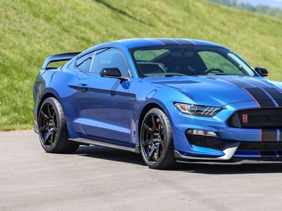 2017 Ford Shelby For Sale