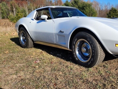 1974 Chevrolet Corvette 454 Big Block