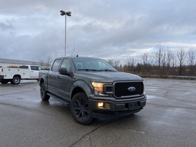 Used 2019 Ford F-150 XLT 4WD