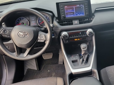 2019 Toyota RAV4 XLE in Orlando, FL