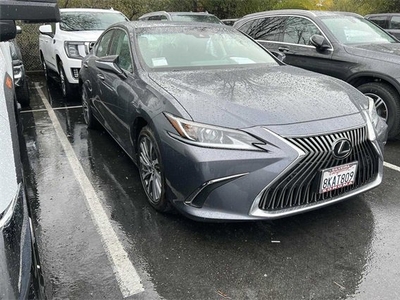 2019 Lexus ES ES 350 in Healdsburg, CA
