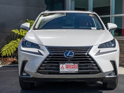 2020 Lexus NX NX 300h in Redondo Beach, CA