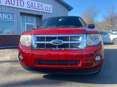 2011 Ford Escape XLT in Cookeville, TN