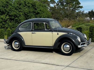 1965 Volkswagen Beetle