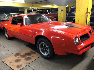 1976 Pontiac Trans Am For Sale