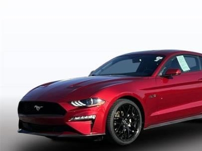 2019 Ford Mustang Ecoboost 2DR Fastback