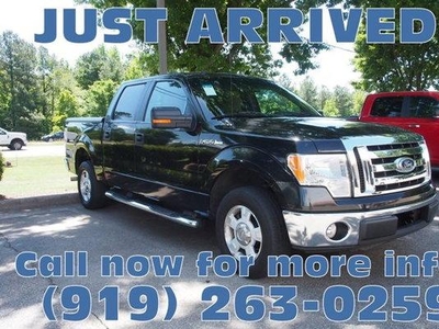 2010 Ford F-150 for Sale in Chicago, Illinois