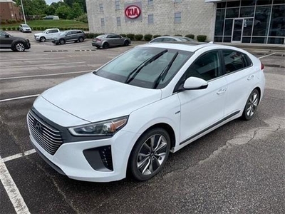 2019 Hyundai Ioniq Hybrid for Sale in Chicago, Illinois