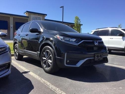 2020 Honda CR-V for Sale in Chicago, Illinois