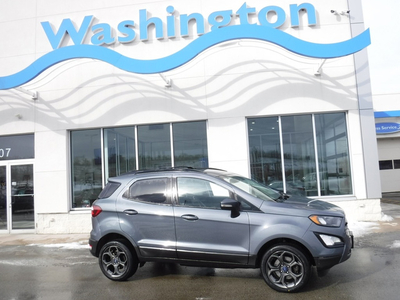 2018 Ford EcoSport SES AWD in Washington, PA