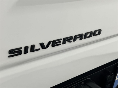 2023 Chevrolet Silverado 1500 Custom Trail Boss in Wexford, PA