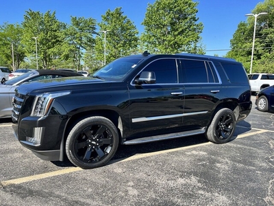 2016 Cadillac Escalade Luxury Collection in Bloomington, IN