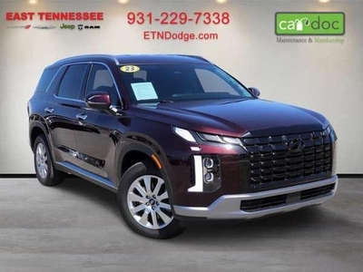 2023 Hyundai Palisade for Sale in Northwoods, Illinois