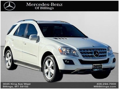 2009 Mercedes-Benz ML 350 for Sale in Northwoods, Illinois