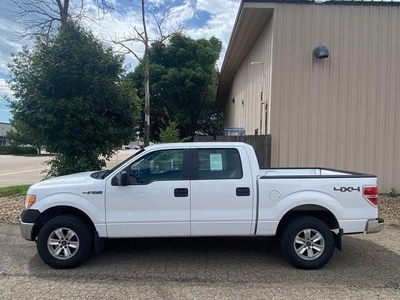 2012 Ford F-150 for Sale in Chicago, Illinois