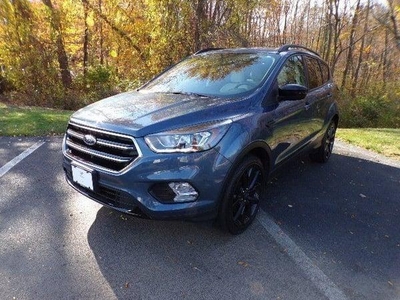 2018 Ford Escape for Sale in Northwoods, Illinois
