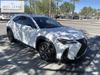 2019 Lexus UX 250h for Sale in McHenry, Illinois
