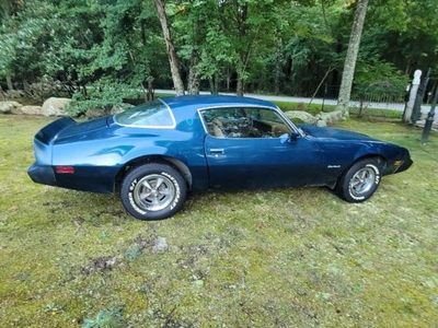 FOR SALE: 1979 Pontiac Firebird $11,995 USD