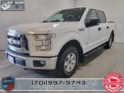 2017 Ford F-150 XLT 4x4 4dr SuperCrew 5.5 ft. SB for sale in Wadena, MN