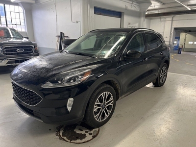 Certified Used 2020 Ford Escape SEL AWD