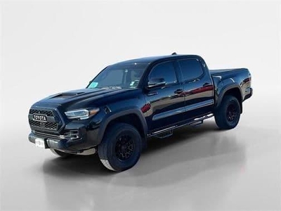 2020 Toyota Tacoma for Sale in Flowerfield, Illinois