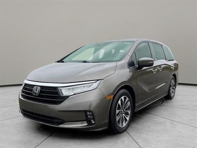 2021 Honda Odyssey for Sale in Northwoods, Illinois