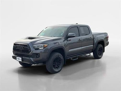 2021 Toyota Tacoma for Sale in Flowerfield, Illinois