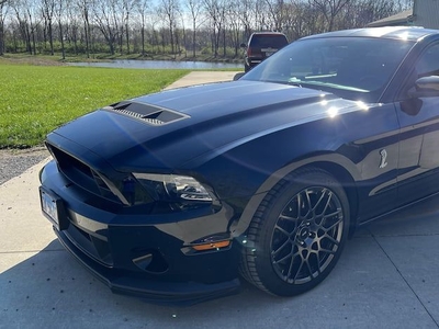 2014 Ford Shelby For Sale