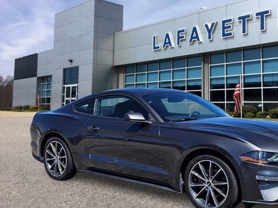 2019 Ford Mustang Ecoboost 2DR Fastback