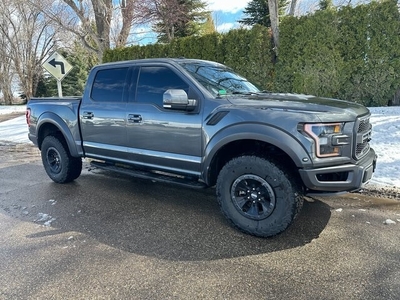 2018 Ford F-150 Raptor